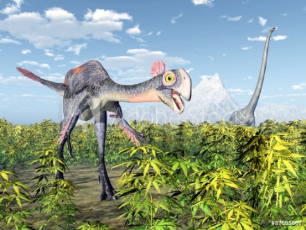 Picture of The dinosaurs Gigantoraptor and Mamenchisaurus